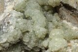 Green Prehnite Crystal Cluster - Morocco #191006-1